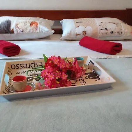 Apartamento Vladka